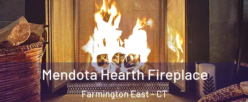 Mendota Hearth Fireplace Farmington East - CT