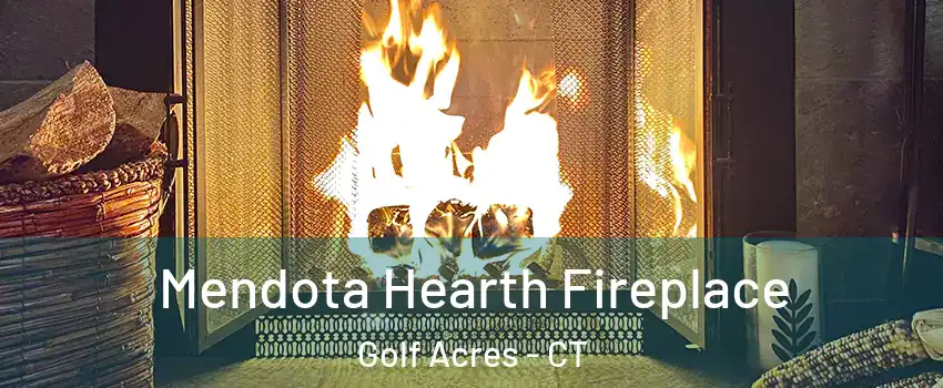 Mendota Hearth Fireplace Golf Acres - CT