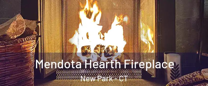 Mendota Hearth Fireplace New Park - CT