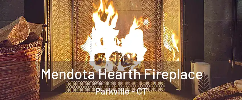 Mendota Hearth Fireplace Parkville - CT