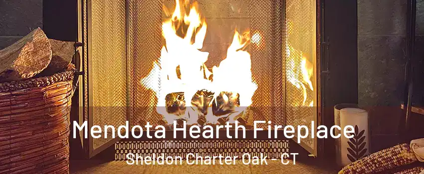 Mendota Hearth Fireplace Sheldon Charter Oak - CT