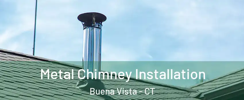 Metal Chimney Installation Buena Vista - CT