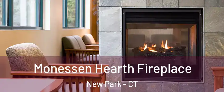 Monessen Hearth Fireplace New Park - CT