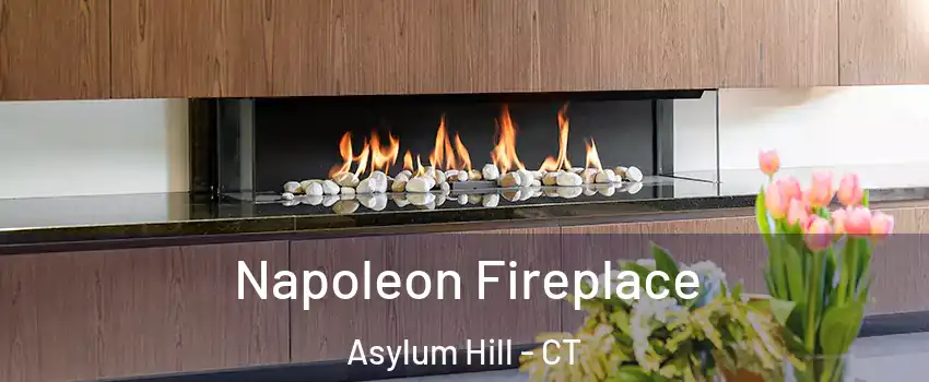 Napoleon Fireplace Asylum Hill - CT