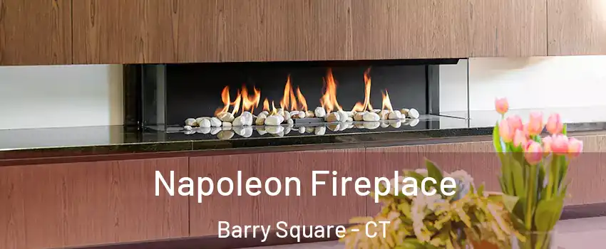 Napoleon Fireplace Barry Square - CT