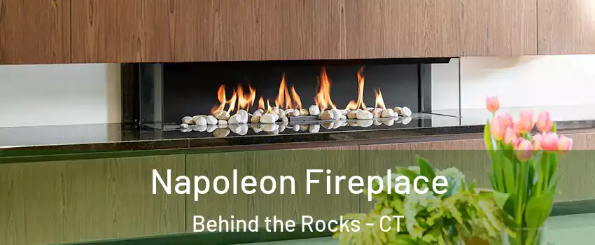 Napoleon Fireplace Behind the Rocks - CT