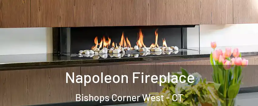 Napoleon Fireplace Bishops Corner West - CT