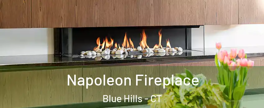 Napoleon Fireplace Blue Hills - CT