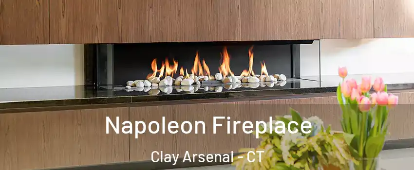 Napoleon Fireplace Clay Arsenal - CT