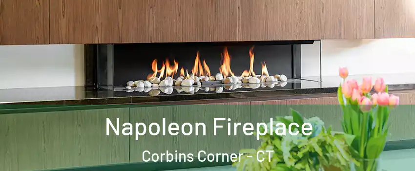 Napoleon Fireplace Corbins Corner - CT