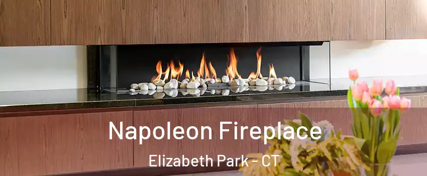 Napoleon Fireplace Elizabeth Park - CT