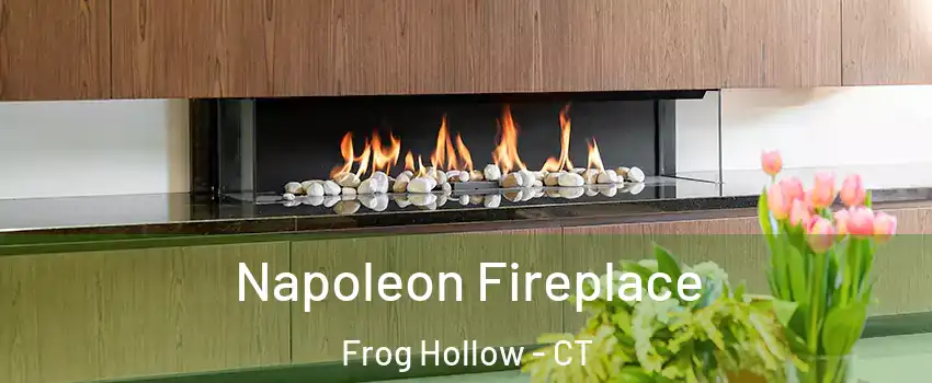 Napoleon Fireplace Frog Hollow - CT