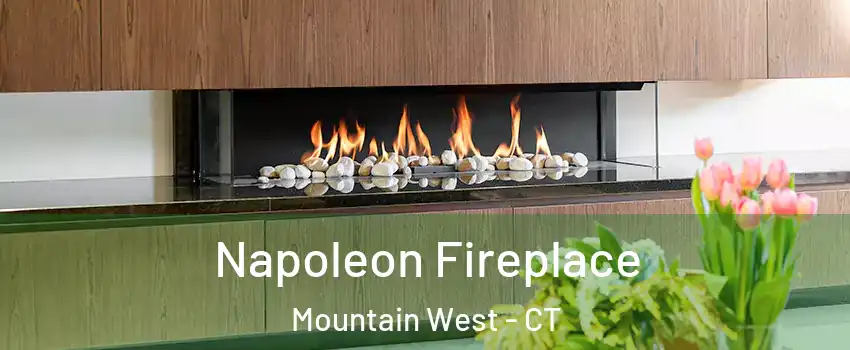 Napoleon Fireplace Mountain West - CT