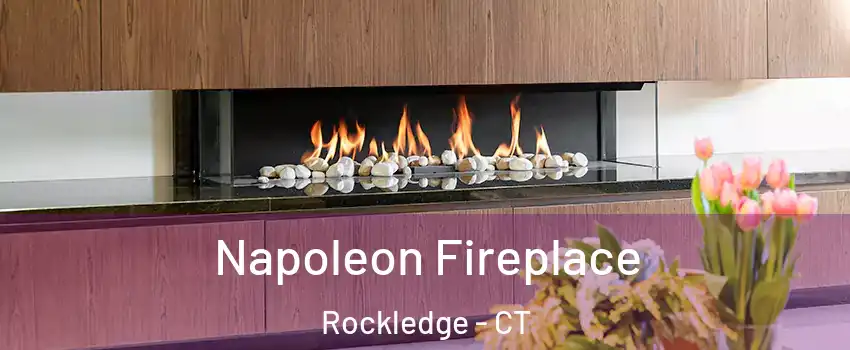 Napoleon Fireplace Rockledge - CT
