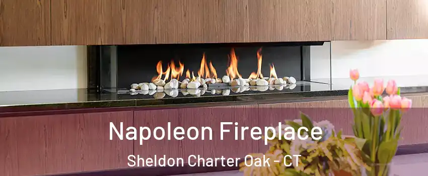 Napoleon Fireplace Sheldon Charter Oak - CT