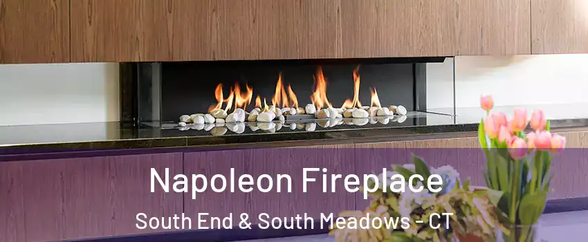 Napoleon Fireplace South End & South Meadows - CT