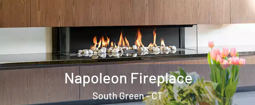 Napoleon Fireplace South Green - CT