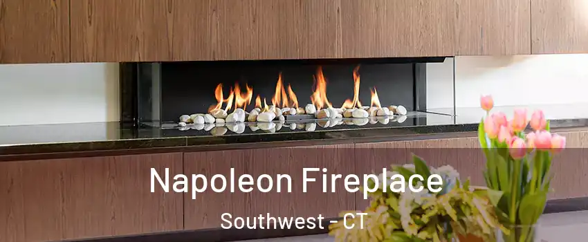 Napoleon Fireplace Southwest - CT