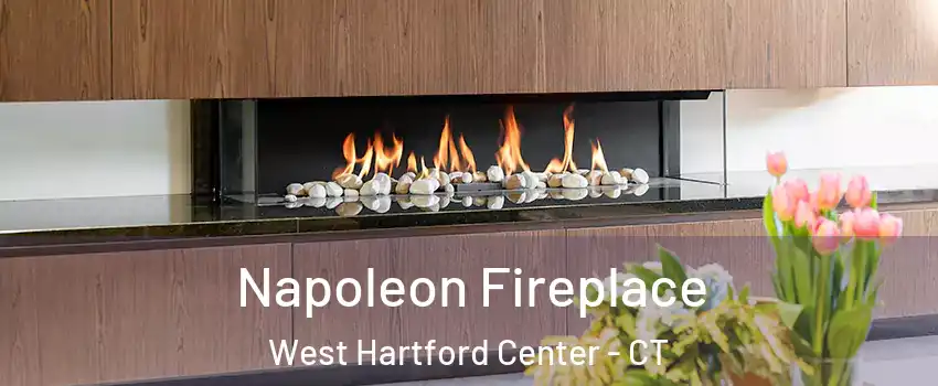 Napoleon Fireplace West Hartford Center - CT