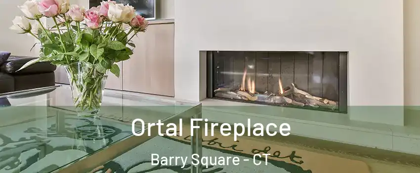Ortal Fireplace Barry Square - CT