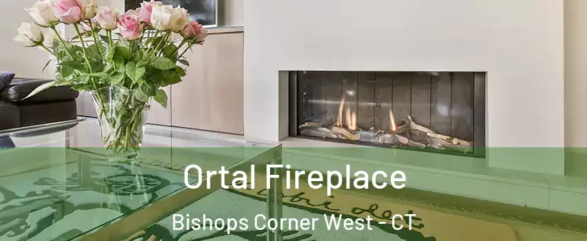 Ortal Fireplace Bishops Corner West - CT