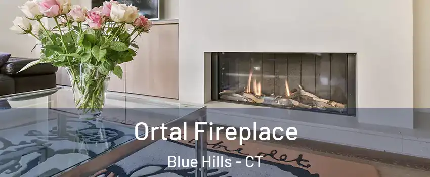 Ortal Fireplace Blue Hills - CT