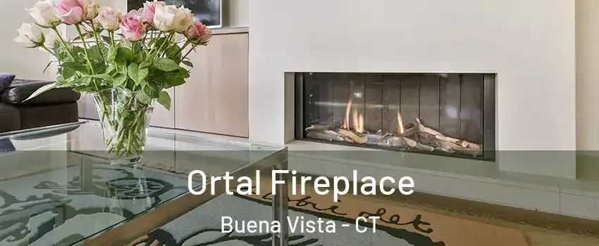 Ortal Fireplace Buena Vista - CT