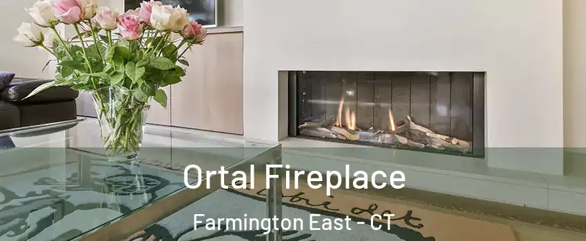 Ortal Fireplace Farmington East - CT