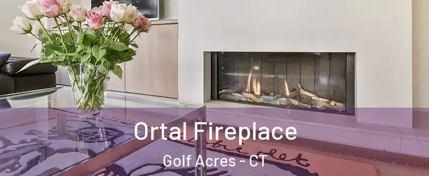 Ortal Fireplace Golf Acres - CT
