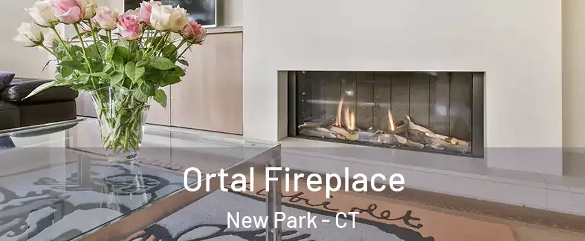 Ortal Fireplace New Park - CT