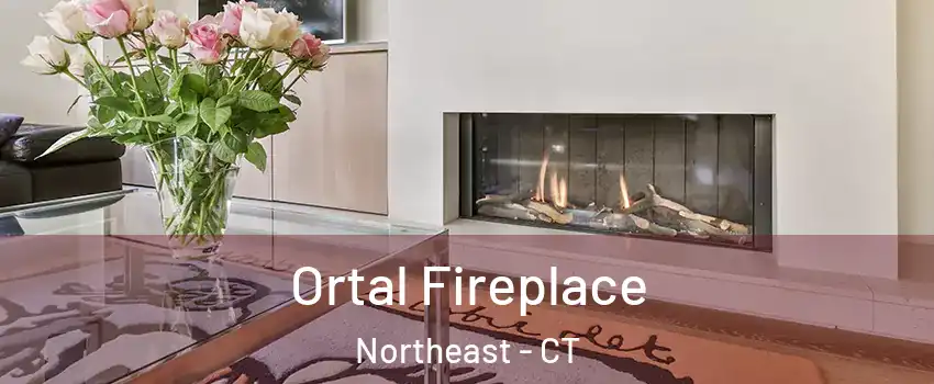 Ortal Fireplace Northeast - CT