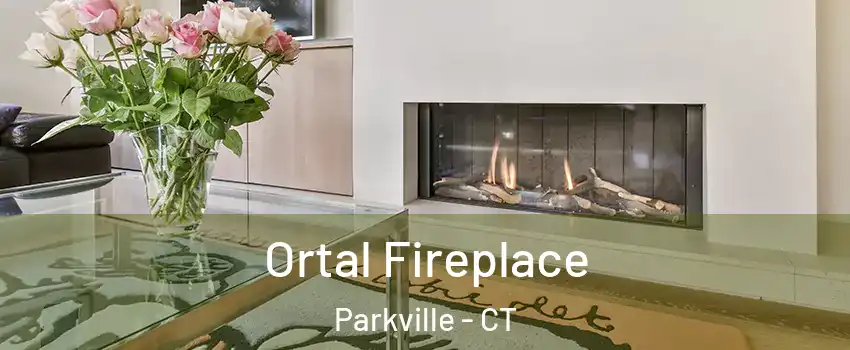 Ortal Fireplace Parkville - CT