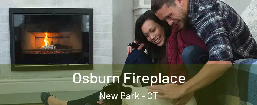 Osburn Fireplace New Park - CT