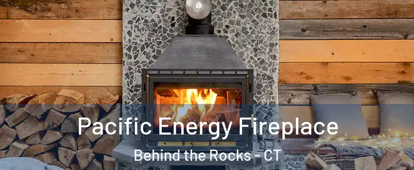 Pacific Energy Fireplace Behind the Rocks - CT