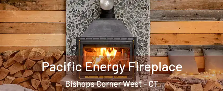 Pacific Energy Fireplace Bishops Corner West - CT