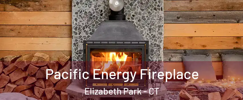 Pacific Energy Fireplace Elizabeth Park - CT
