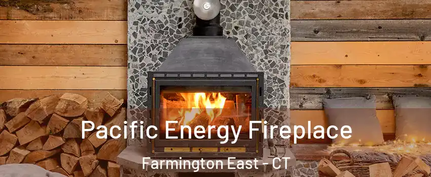 Pacific Energy Fireplace Farmington East - CT