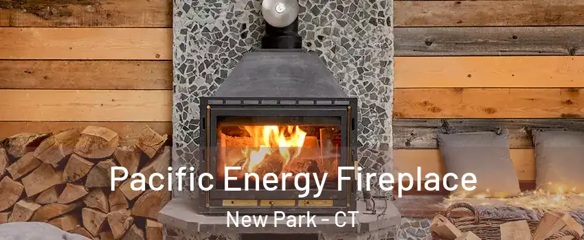Pacific Energy Fireplace New Park - CT