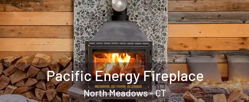 Pacific Energy Fireplace North Meadows - CT