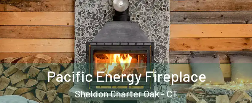 Pacific Energy Fireplace Sheldon Charter Oak - CT