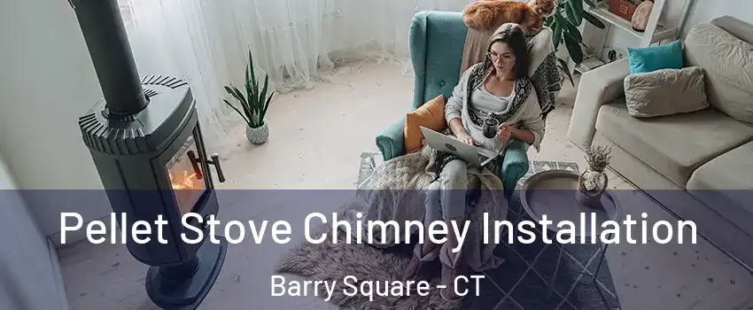 Pellet Stove Chimney Installation Barry Square - CT