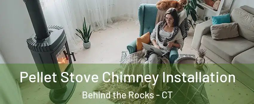 Pellet Stove Chimney Installation Behind the Rocks - CT