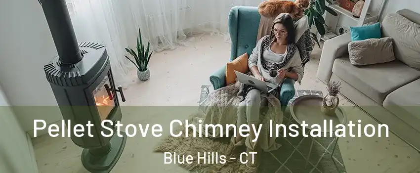 Pellet Stove Chimney Installation Blue Hills - CT