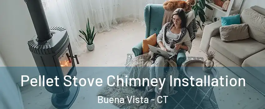 Pellet Stove Chimney Installation Buena Vista - CT