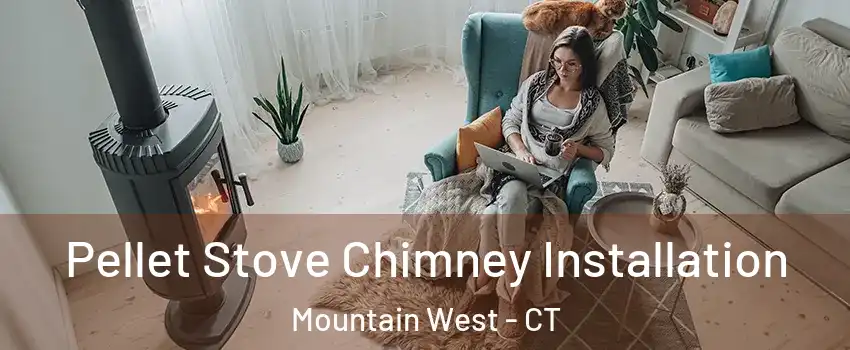 Pellet Stove Chimney Installation Mountain West - CT