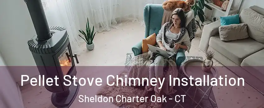 Pellet Stove Chimney Installation Sheldon Charter Oak - CT