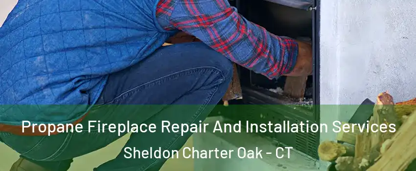Propane Fireplace Repair And Installation Services Sheldon Charter Oak - CT