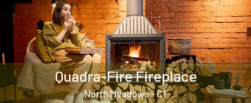Quadra-Fire Fireplace North Meadows - CT