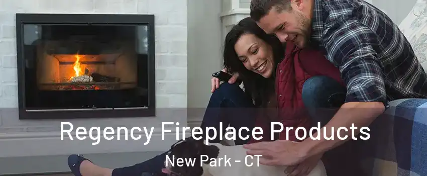 Regency Fireplace Products New Park - CT