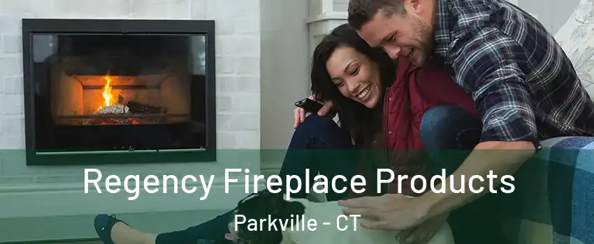 Regency Fireplace Products Parkville - CT